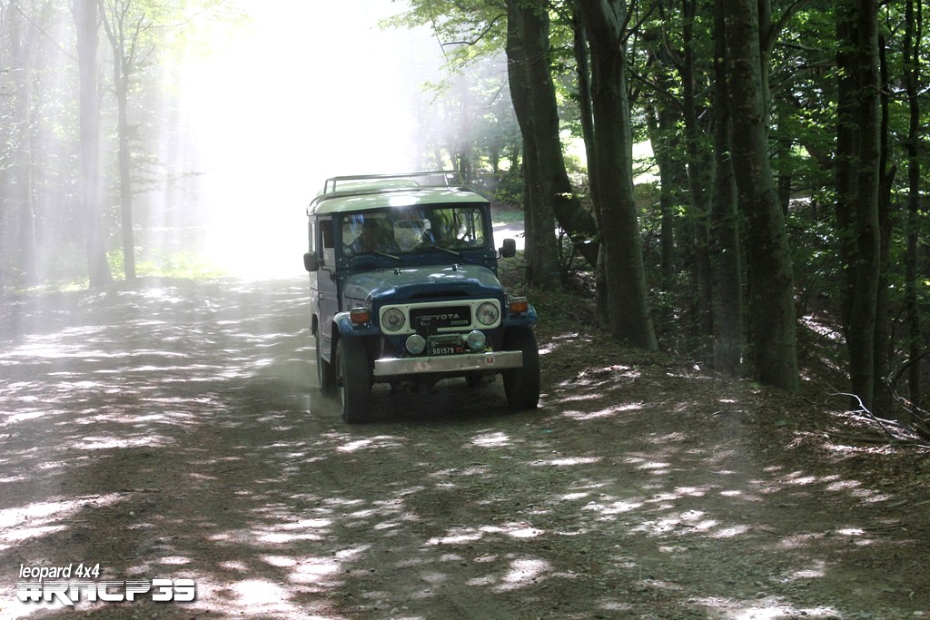 39Â° Raduno Nazionale delle Colline Pistoiesi - foto 148
